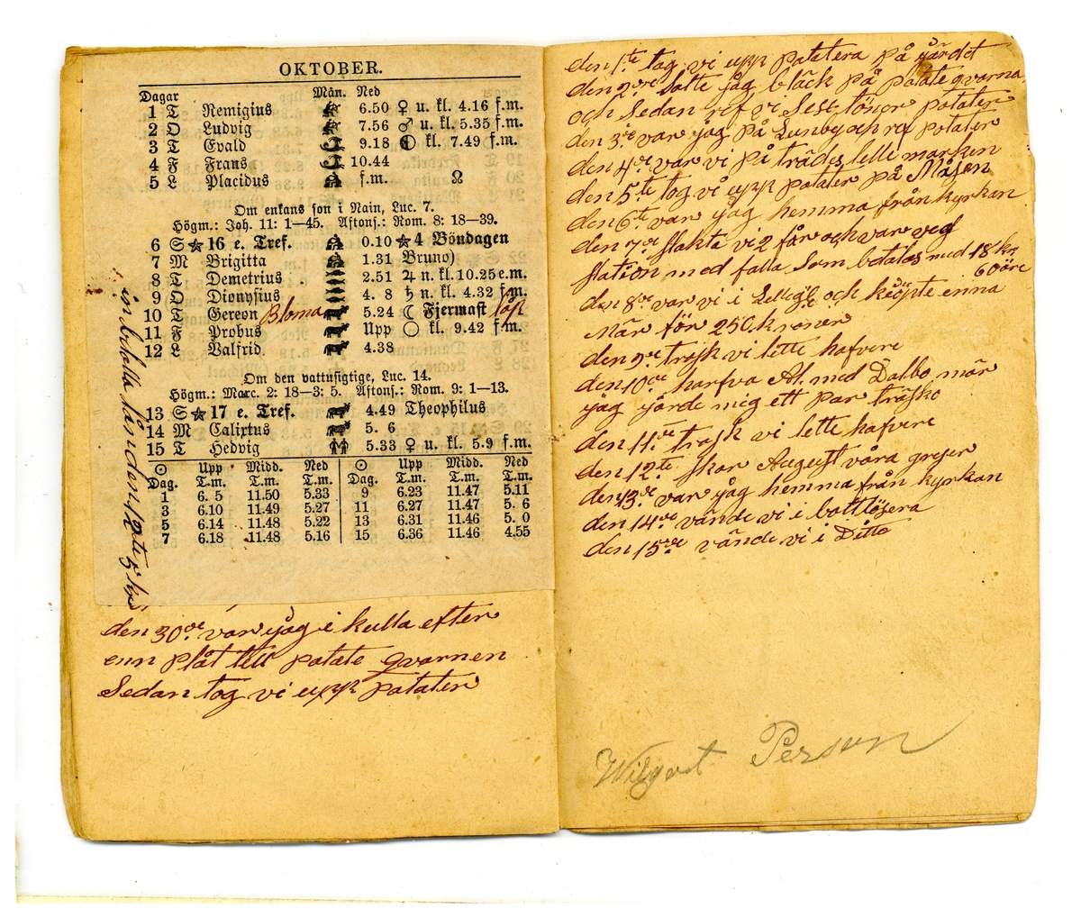 Kölabydagboken 1878