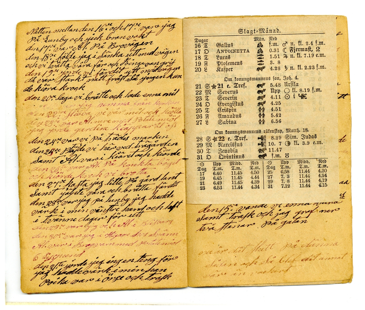 Kölabydagboken 1877