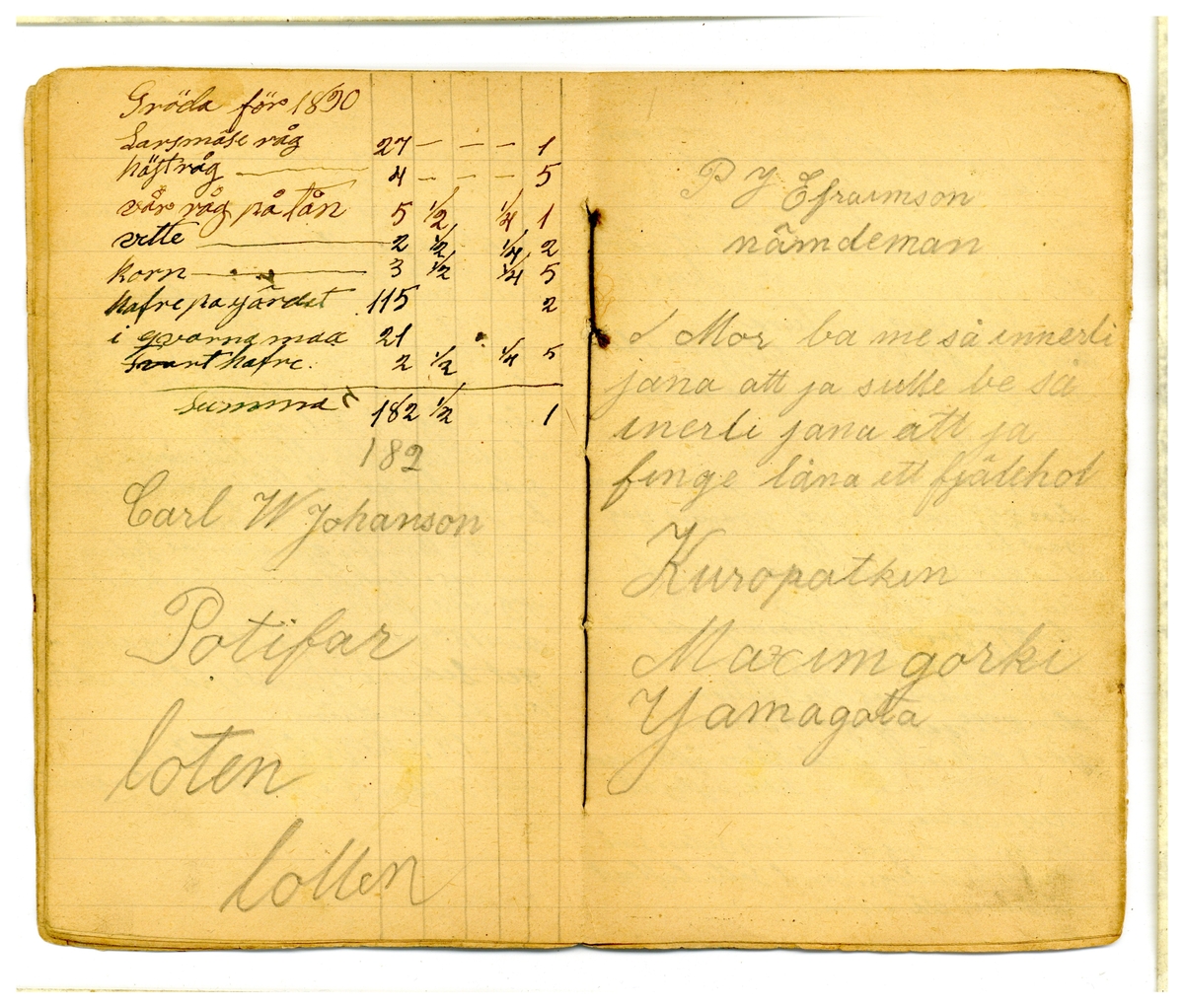 Kölabydagboken 1890