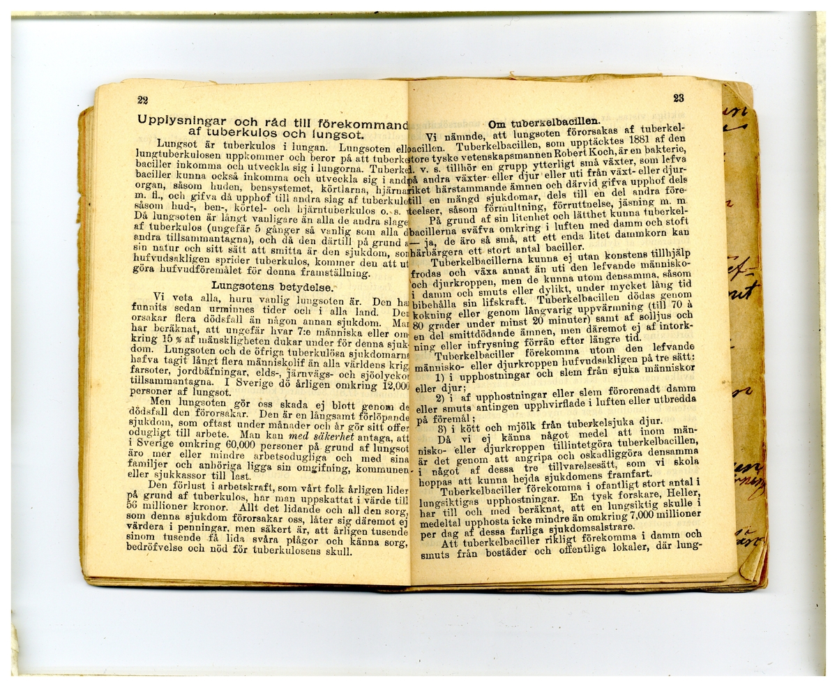 Kölabydagboken 1901