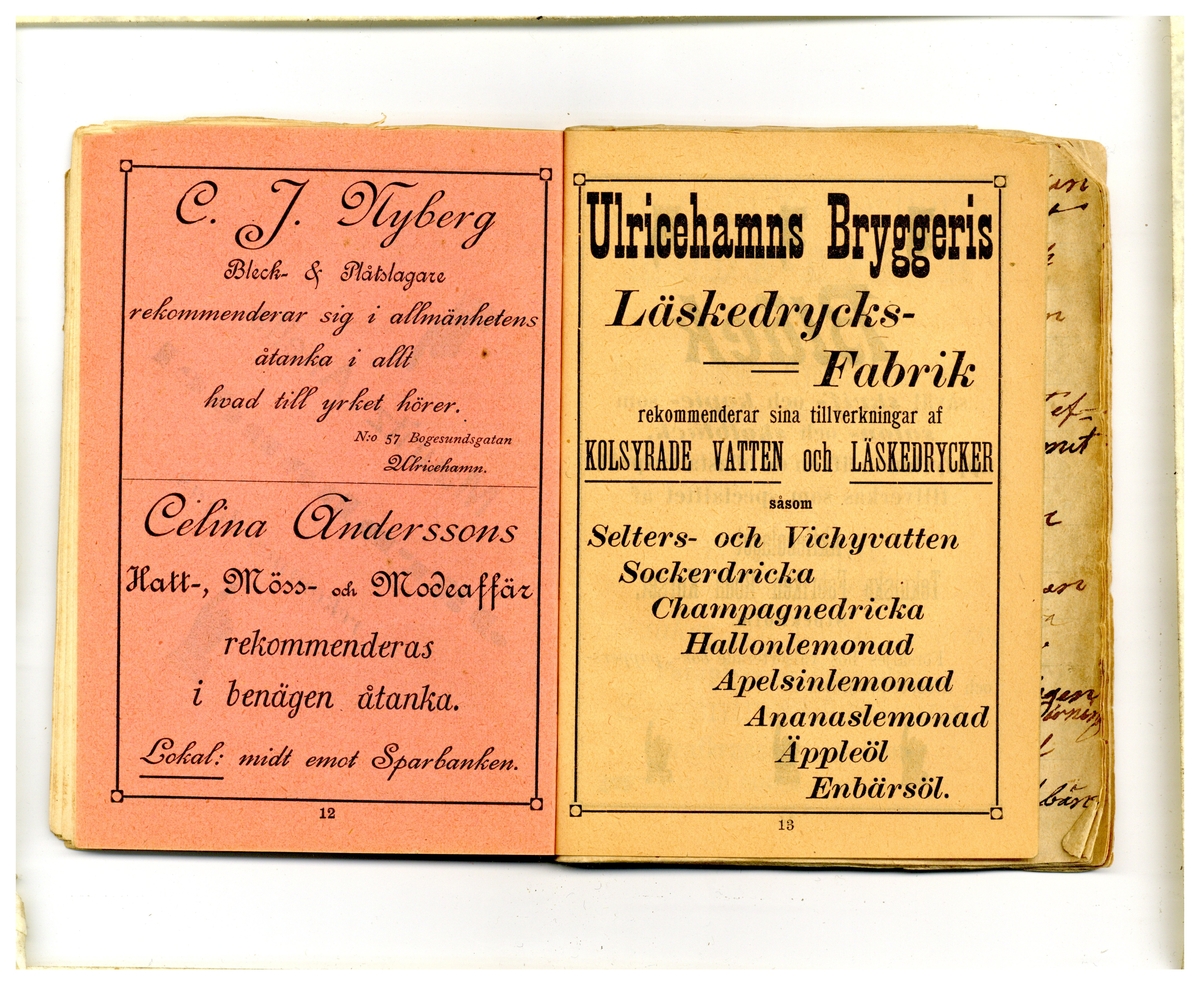 Kölabydagboken 1901