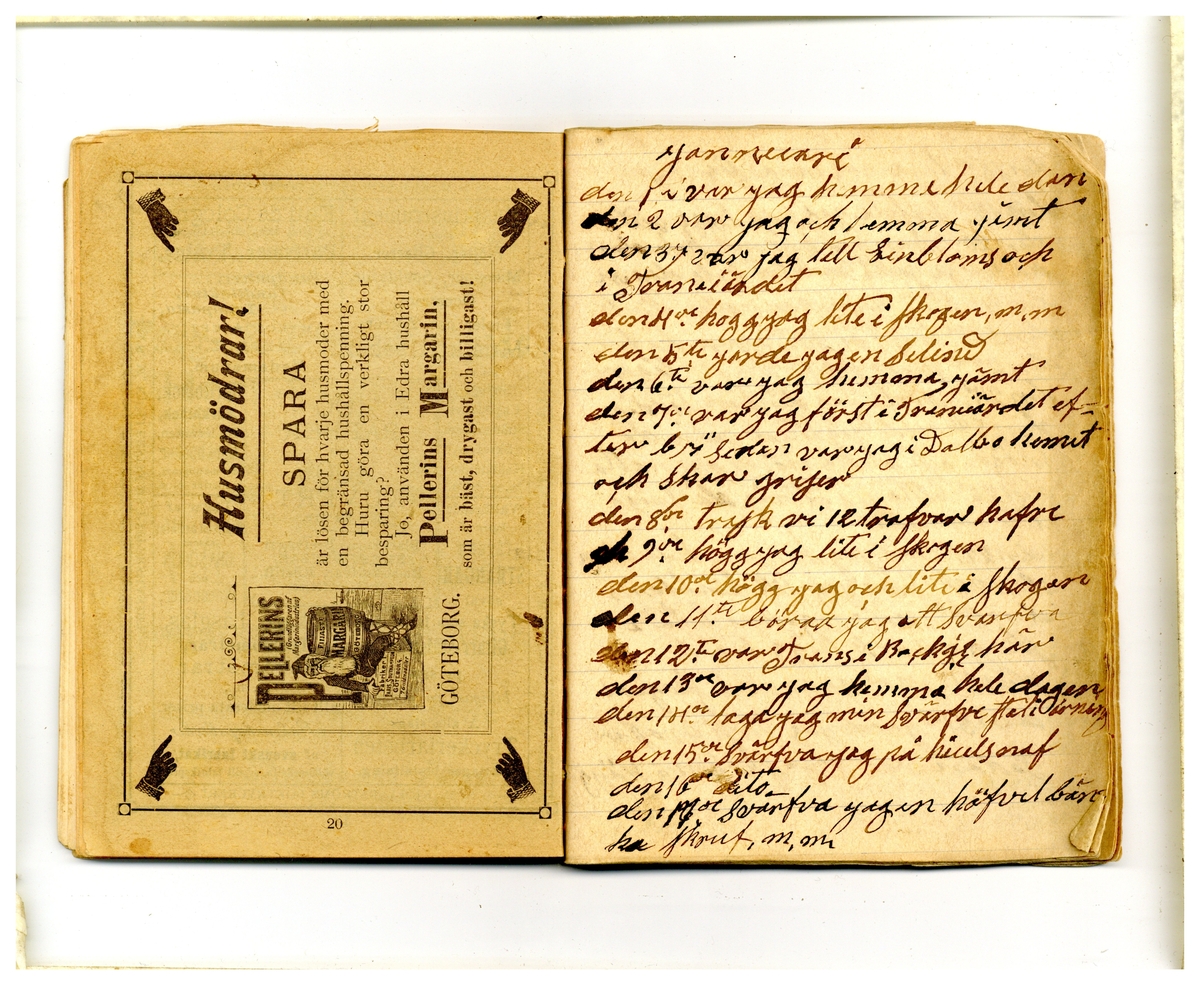 Kölabydagboken 1901