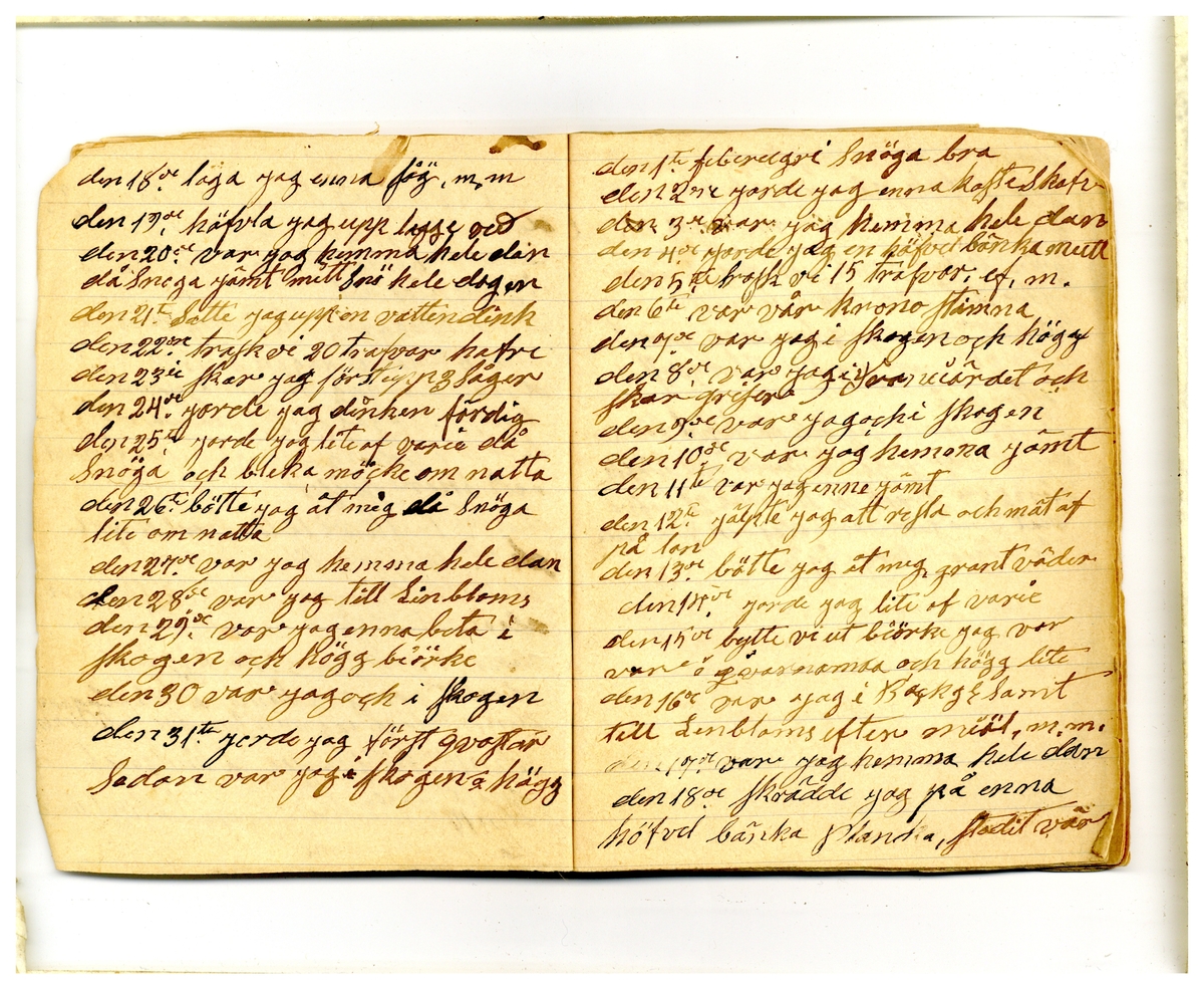 Kölabydagboken 1901