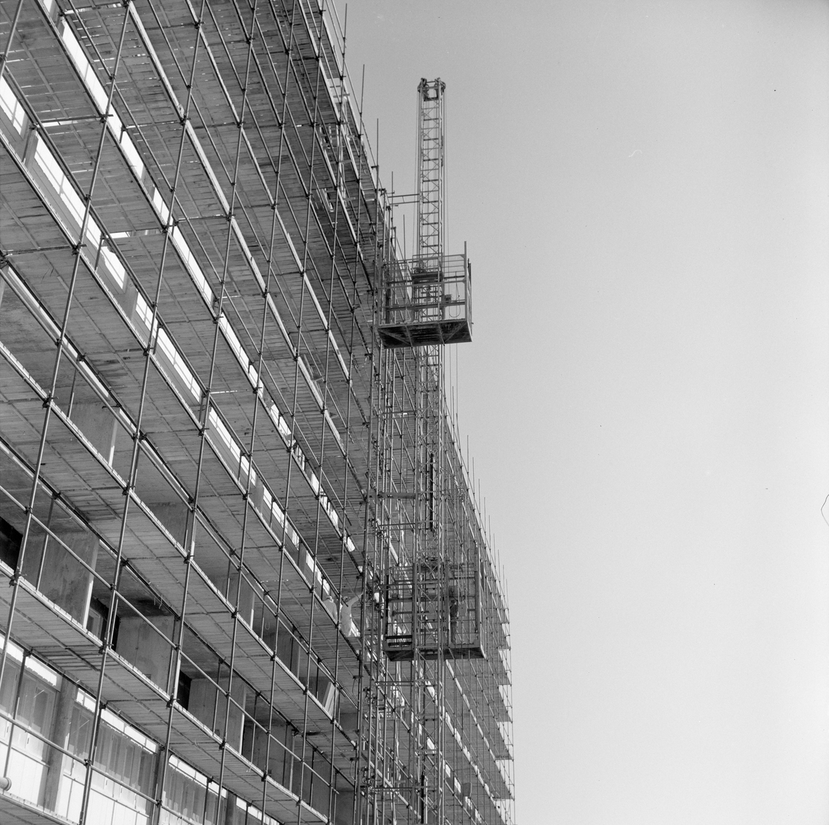 Haugland & Co, stillasheiser