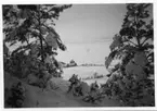 Snötyngda träd på Grännaberget, utsikt mot Kraftstationen och Vättern.