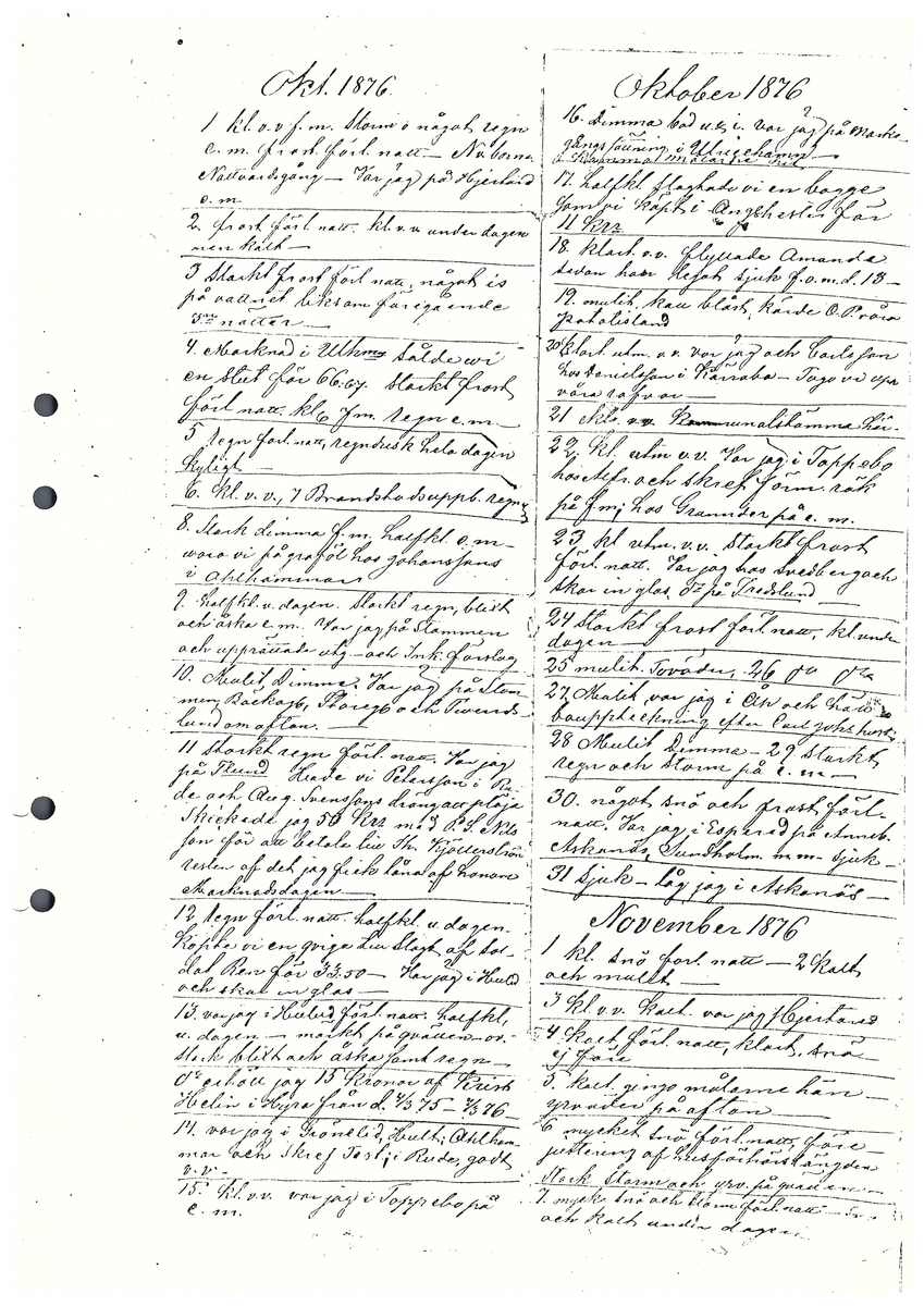 Tvärreddagboken 1876-1877