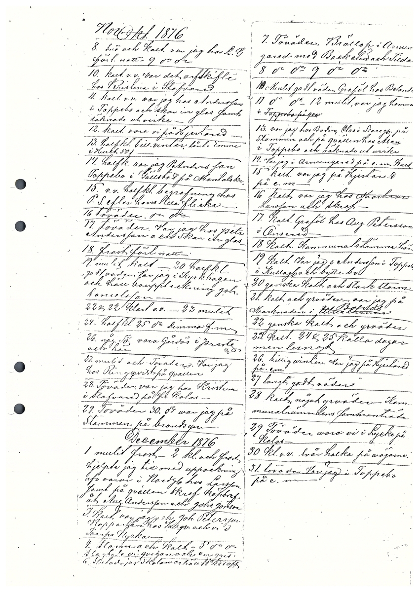 Tvärreddagboken 1876-1877