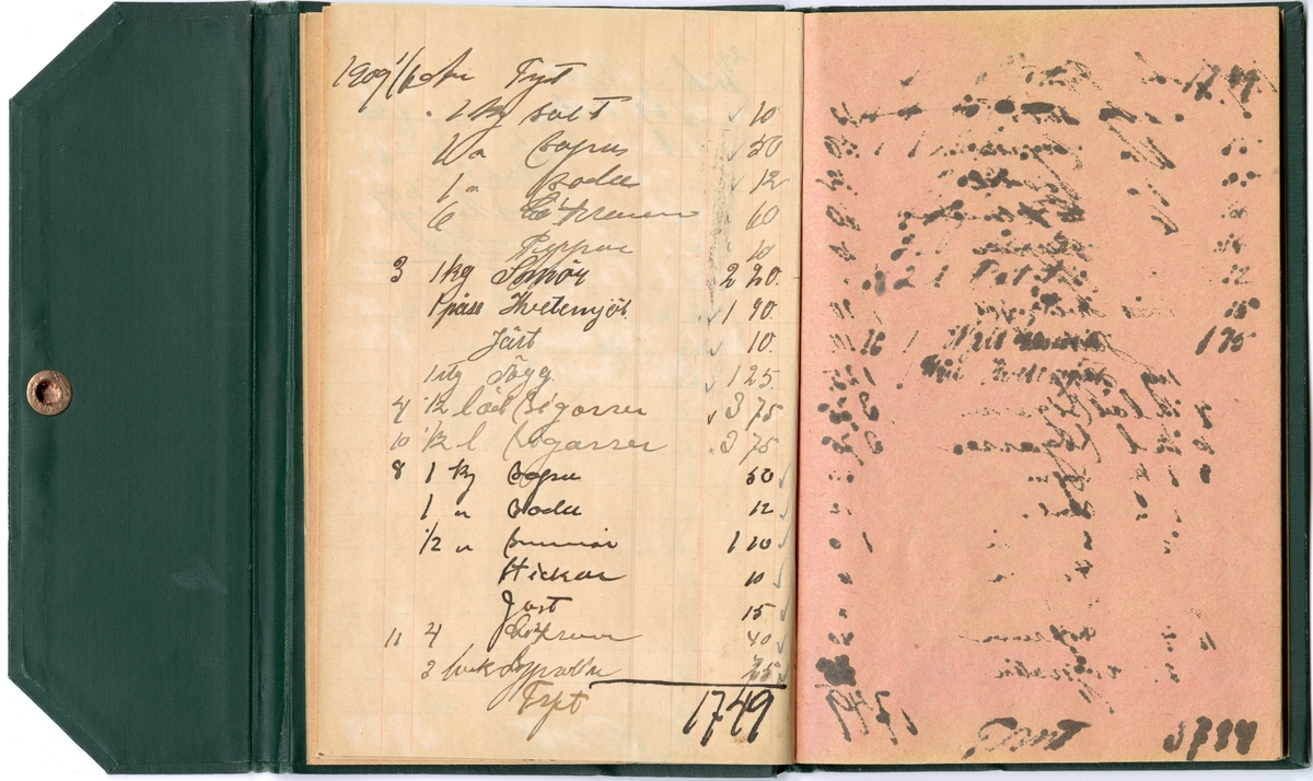 Grönt klot, med extra omslag för att stänga boken med tryckknapp på baksidan.
Präglad pärm med blommönstrad ram. Texten i guldprägling.