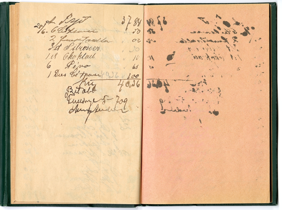 Grönt klot, med extra omslag för att stänga boken med tryckknapp på baksidan.
Präglad pärm med blommönstrad ram. Texten i guldprägling.