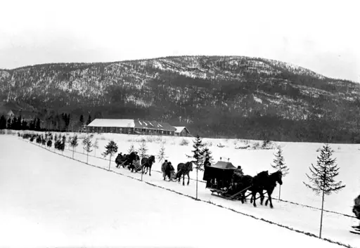 På meier til den siste hvile