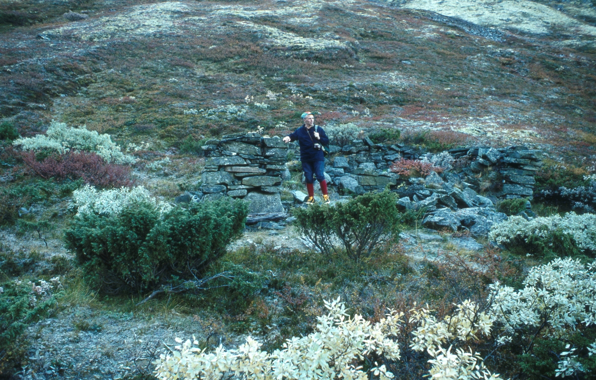 Grøtådalen, Tylldalen 1977