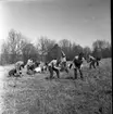 Skogsplantering på Röttles raster april 1961. Flera personer står med hackor och gör hål i marken. Några sitter på huk och planterar träd.