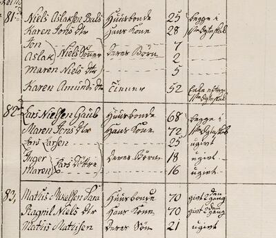 Håndskrevne linjer fra folketellingen 1801. Navnene ikke viktige for sammenhengen, men som dekor/illustrasjon.