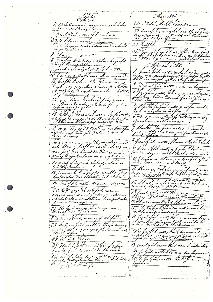 Tvärreddagboken 1885-1886