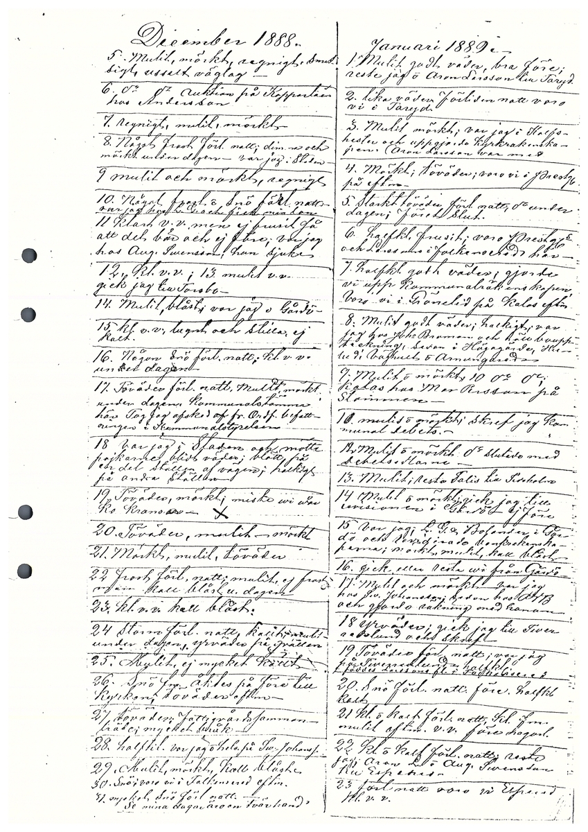 Tvärreddagboken 1888-1890