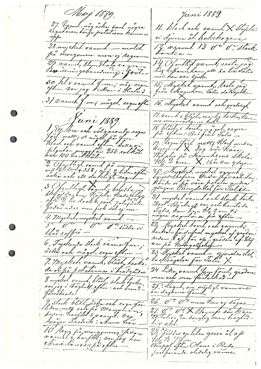 Tvärreddagboken 1888-1890