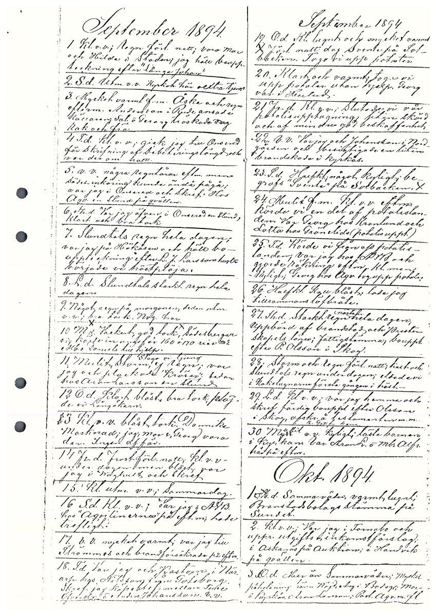 Tvärreddagboken 1894-1896