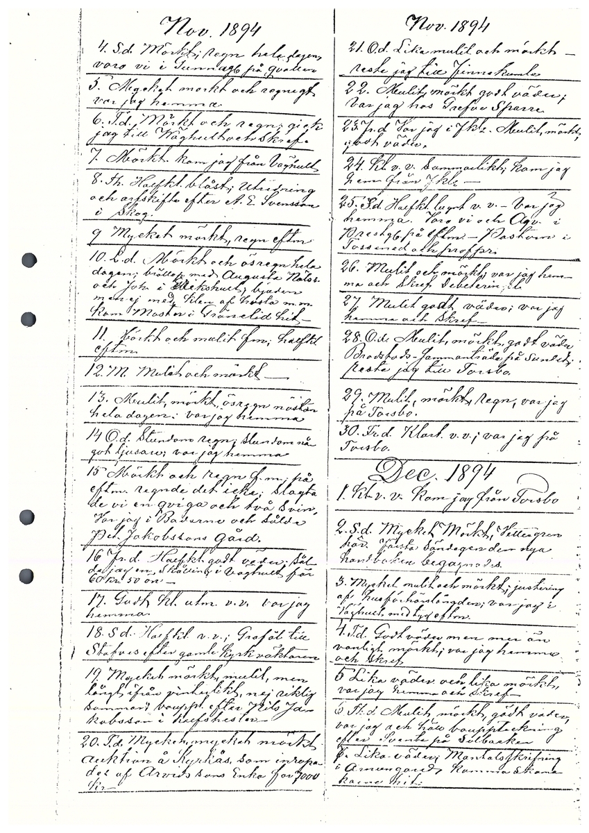 Tvärreddagboken 1894-1896