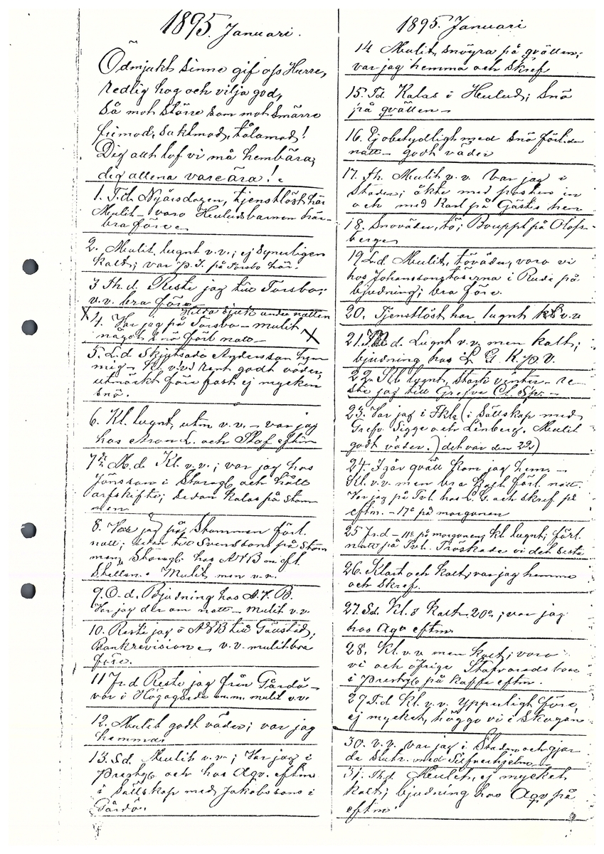 Tvärreddagboken 1894-1896