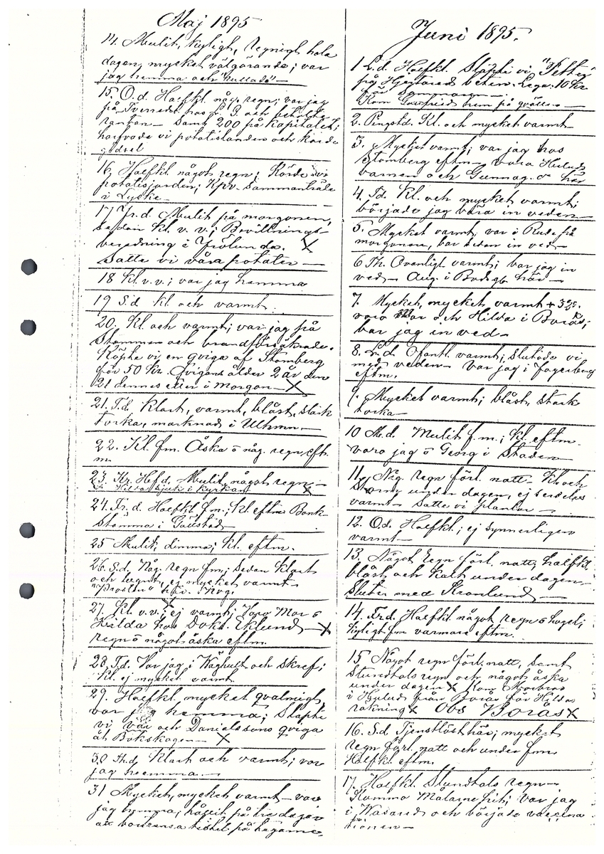 Tvärreddagboken 1894-1896