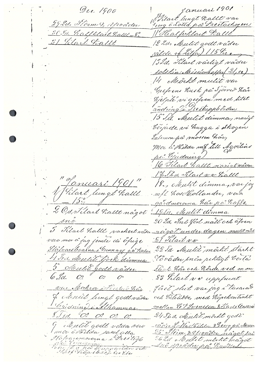 Tvärreddagboken 1898-1901