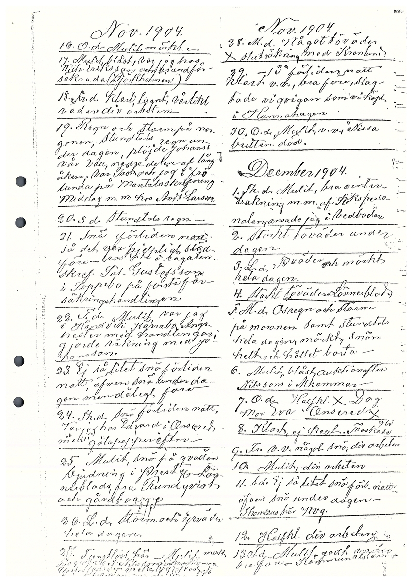 Tvärreddagboken 1904-1905