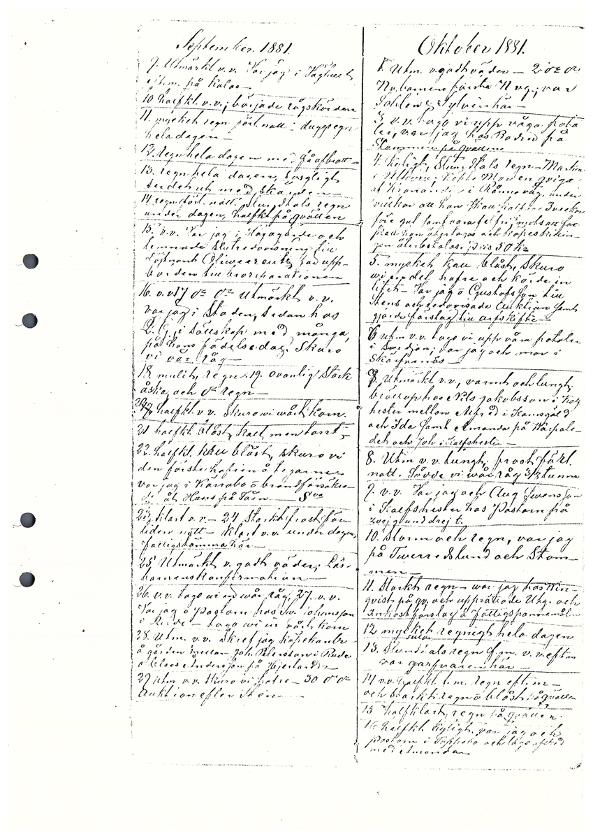 Tvärreddagboken 1881-1883