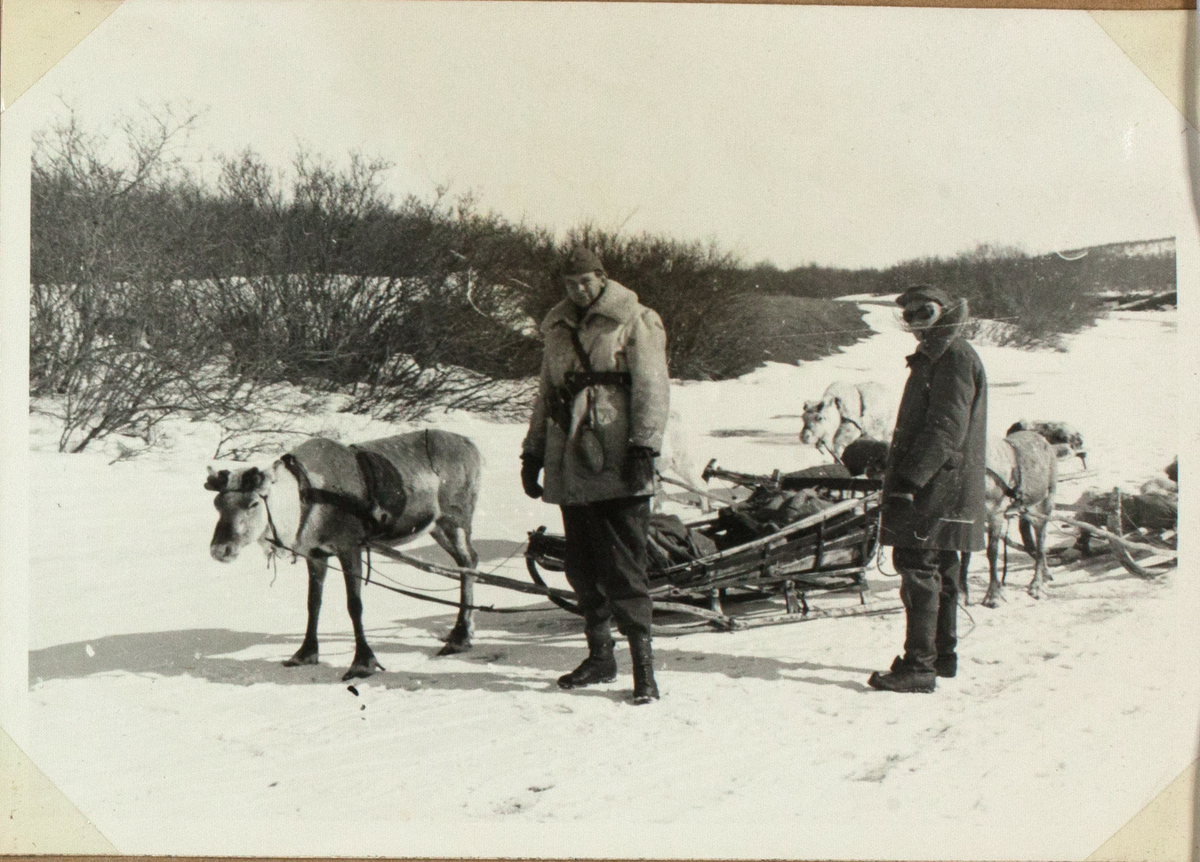 Bildet viser to soldater som står ved siden av fire reinsdyr med sleder. Soldatene er tykk kledd, en av dem har en snøbrille på. I bakgrunnen er det busker og landskapet er delvis snødekket.