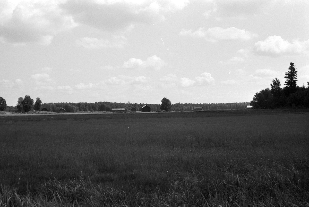 Landskapsvy med ängslador på Bälinge mossar, Uppland 1981