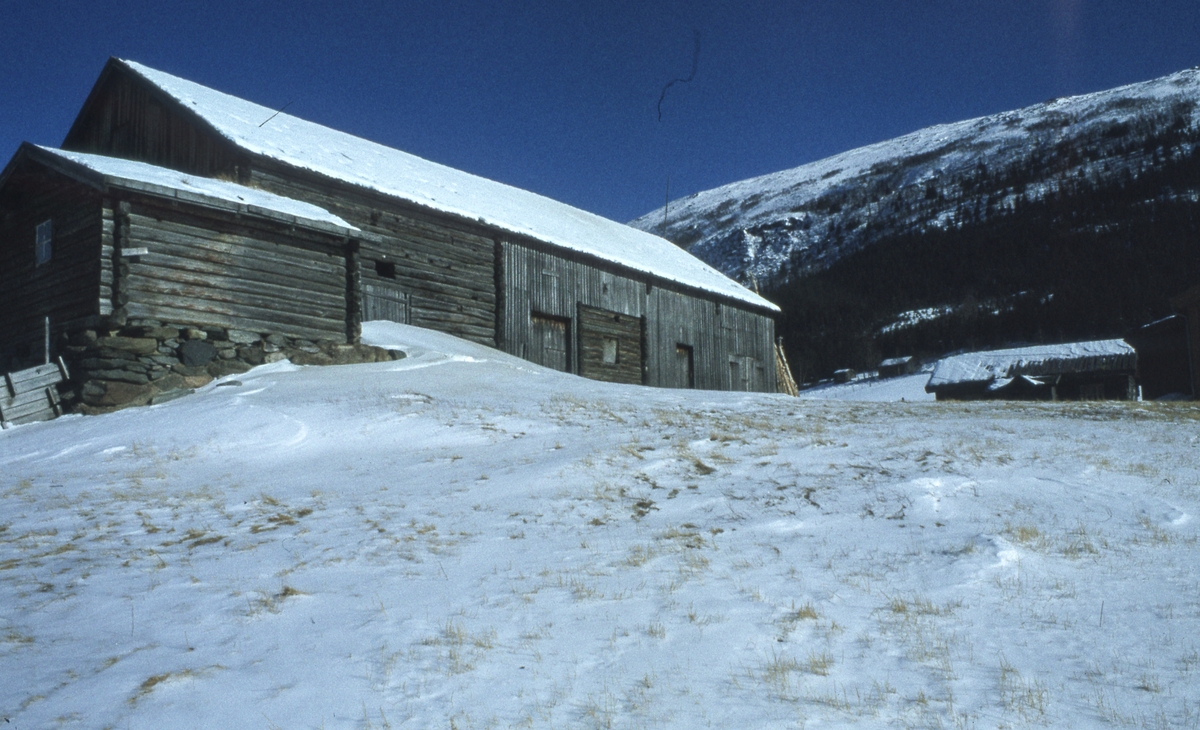 Branvolsegga, fjøs