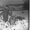 En man står och plockar kål och lägger en stor korg. Han tittar in i kameran. Fältet han står i är täckt med snö.