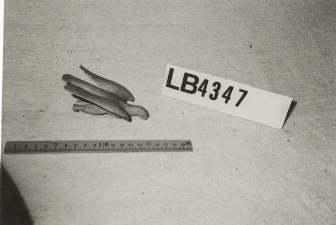 Trefigur forma som ei ørn.