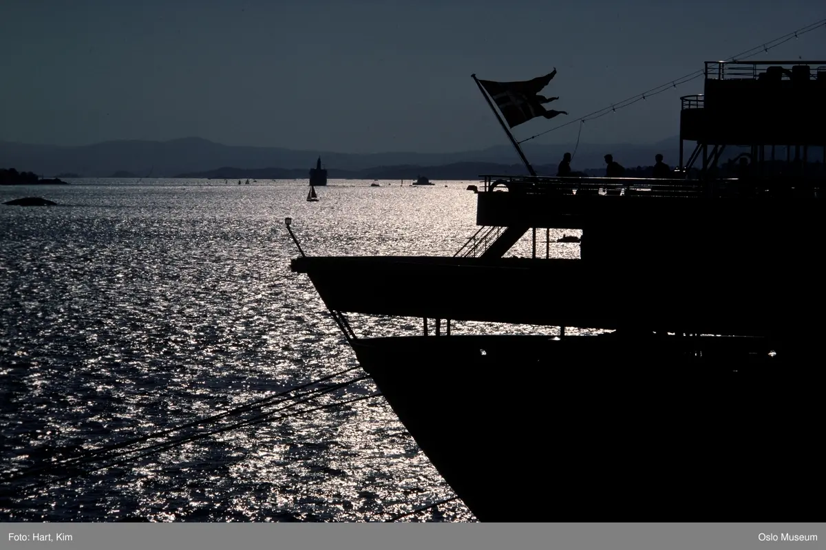 skip, splittflagg, mennesker, fjord, solnedgang