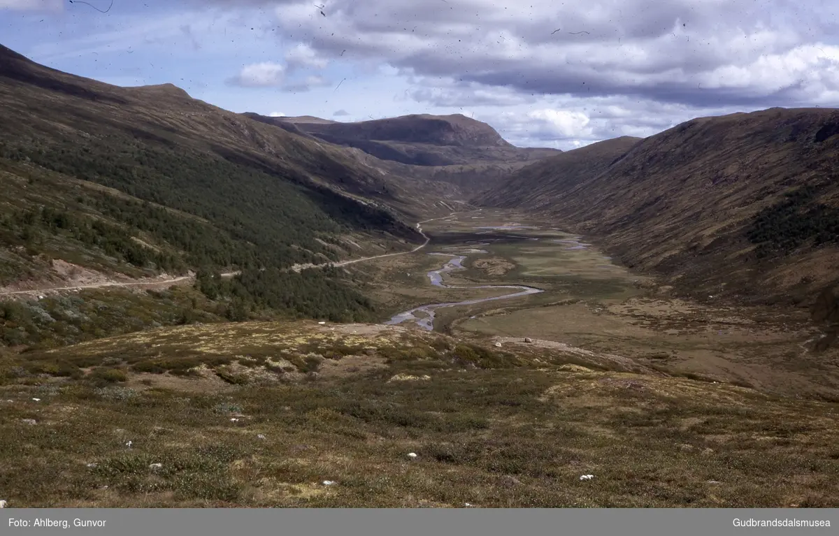 Dovre 1971
Grimsdalen