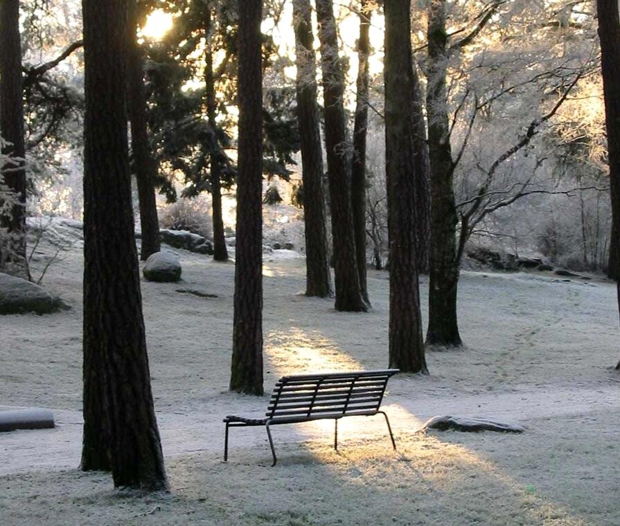 Parti fra Kulåsparken en vinterdag. Winter in the Kulås Park.