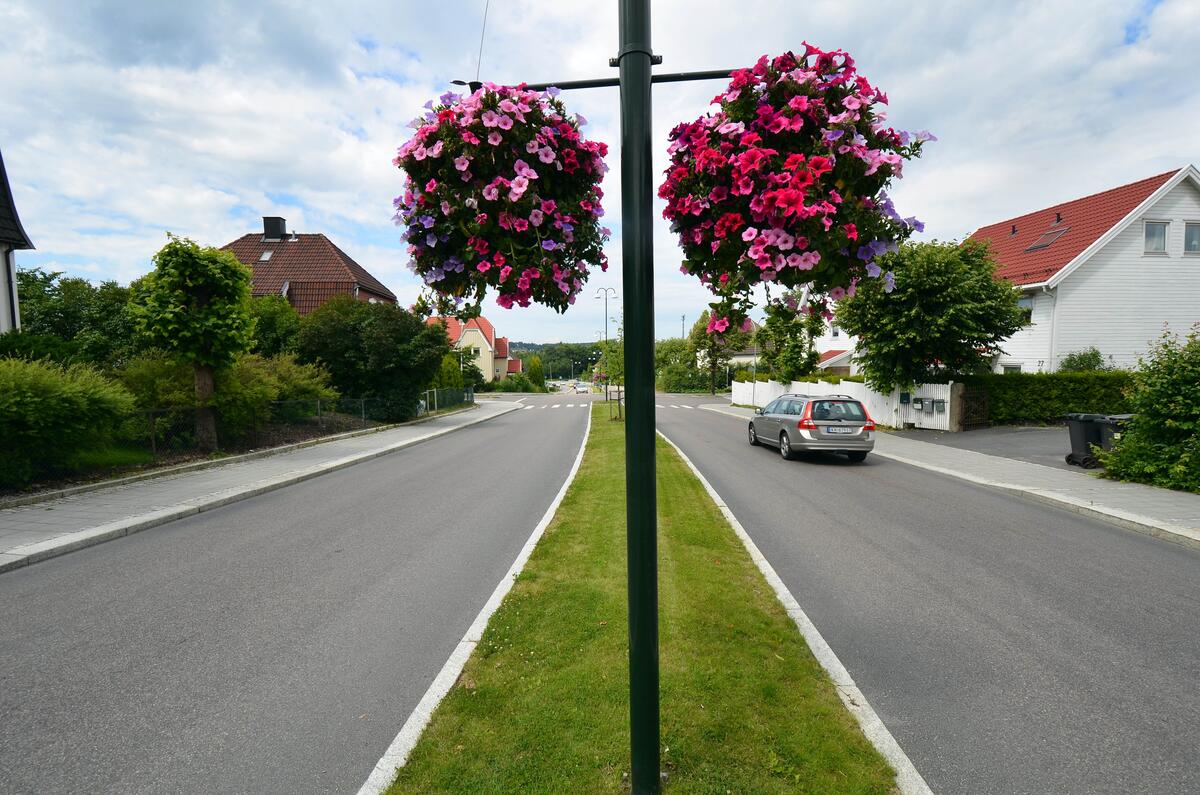 Blomsteroppsatser i Korsgaten