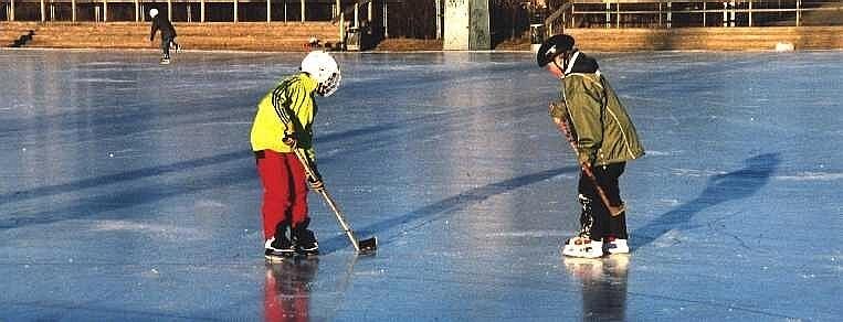 Skøytesport på stadion