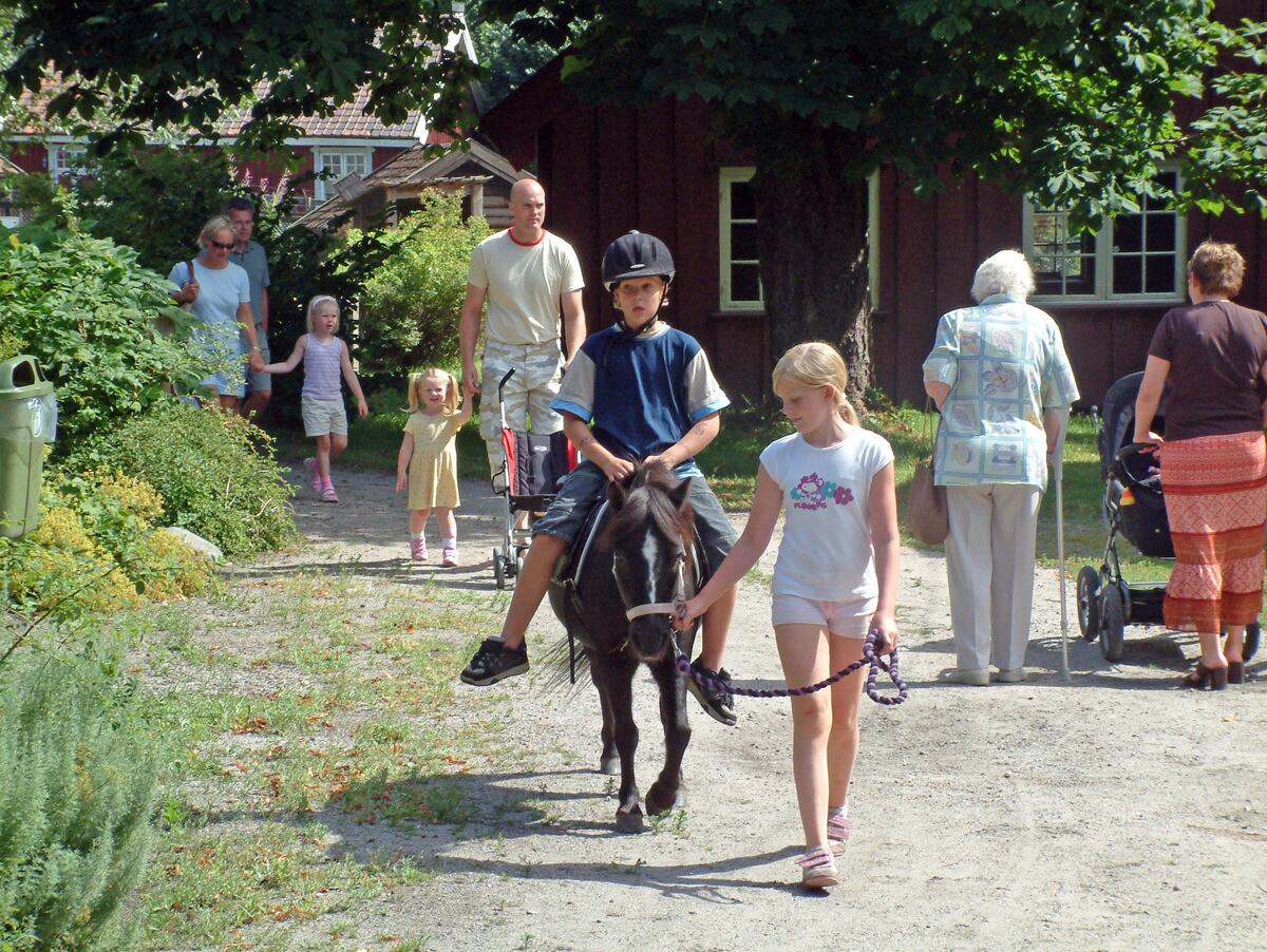 Barn rir på Borgarsyssel museum