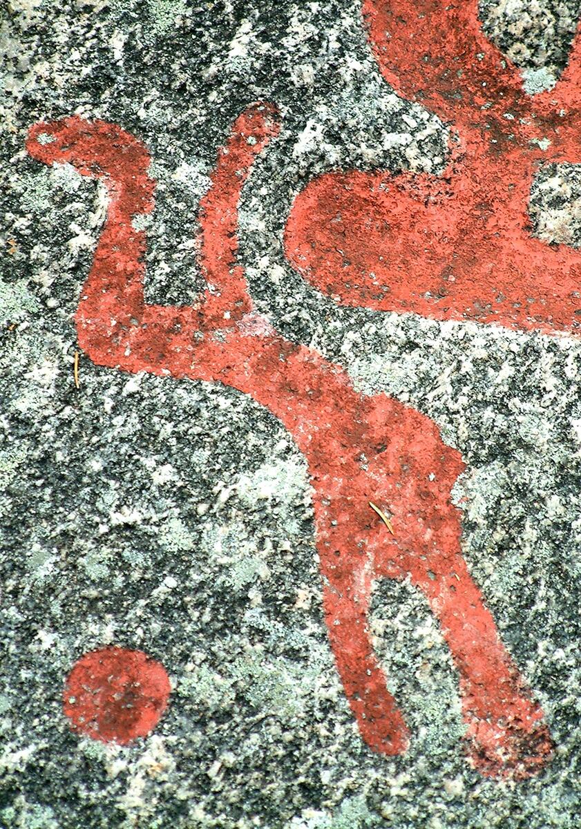 Helleristninger fra Solbergfeltet. Rock carving at Solberg.