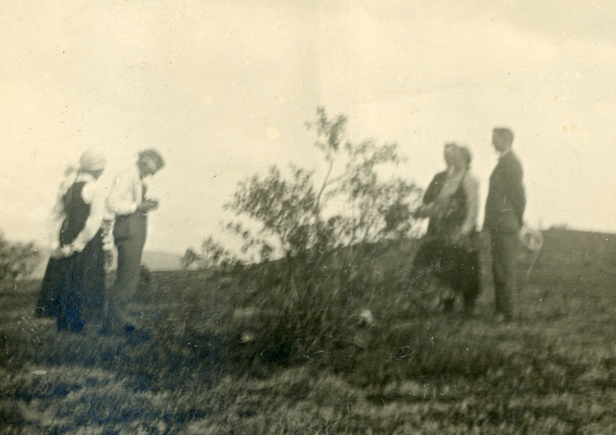 Seks bilde frå Sletteli i 1924.