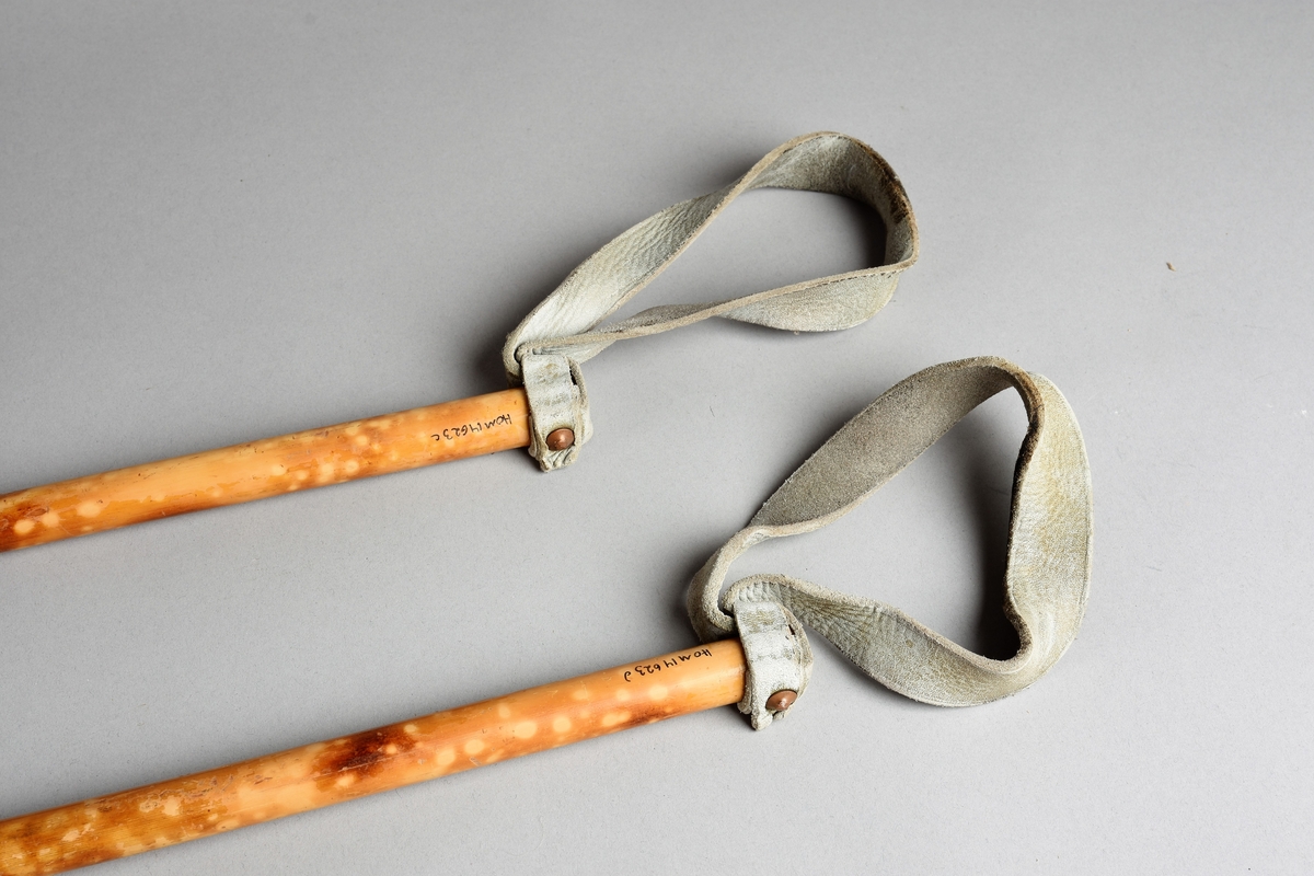 Eit par ski av tre. Kandaharbinding. Eit par skistavar. To reimer til å halde det saman. Ein reisegodslapp heng fast i B.