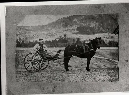hest, karjol, folkedrakt