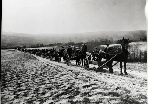 begravelse , gravferd, Gunheimsgrenda