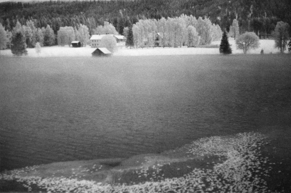 Utsikt over Sjøbotnen, området ved Storsjøens utløp i Søndre Rena.  Fotografiet er tatt fra vestre bredd, der det lå ei lita isskorpe inntil land, over mot garden Nordre Løsset på østsida av vassdraget.  Over vannet aner vi en viss kuldedis.  På Nordre Løsset lå det en slags bubygning ned mot stranda.  Bakenfor, på ei lita, åpen, snødekt flate lå gardstunet.  Lengst til venstre ser vi et stabbur og et kvitmalt våningshus i to etasjer.  I en hage med store bjørketrær skimtes nok et stort våningshus.  I lia bak gardstunet sto barskogen tett.

Fotografiet er tatt i en periode da regulering av Storsjøen til beste for produksjon av elektrisk energi var en aktuell - se fanen «Opplysninger».