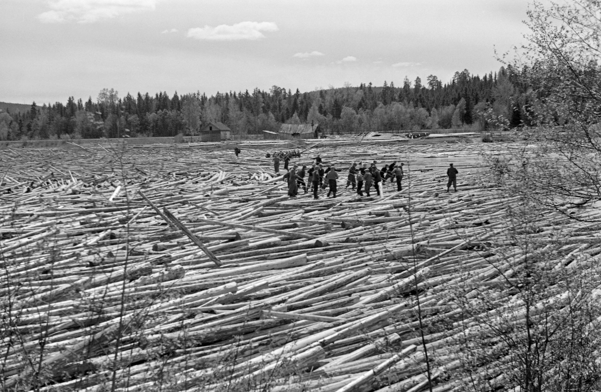 Sammenstuvet tømmer som fylte hele elveløpet mellom Funnefossen og fergestedet Sæterstøa i Nes kommune i Akershus fra 17. mai 1938 og noen dager framover. På dette tidpunktet var det så mye tett sammenstuvet tømmer at det var mulig å gå tørrskodd tvers over det brede elveløpet. Trykket i tømmerhaugen var så stort at en del av stokkene ble presset opp i stående stilling. Tømmermengdene ble naturligvis altfor store for det lokale fløterlaget, som måtte suppleres med ekstramannskaper. Etter hvert var det 60-70 mann som angrep tømmeret, de fleste fra den nedre sida av haugen, men på dette fotografiet ser vi også noen midt ute på tømmerhaugen. Fløtingsinspektøren rekvirerte vinsj i håp om å få trukket løs tømmeret - se avisreportasje under fanen «Opplysninger».