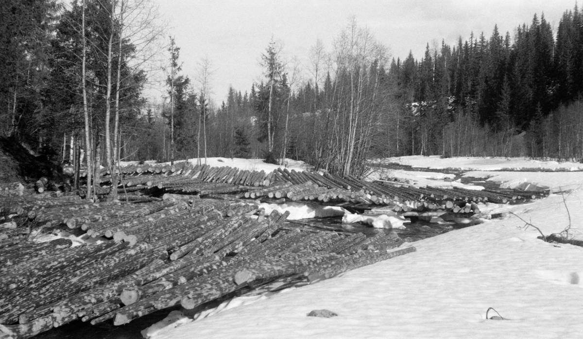 Tømmertillegging ved elva Vismunda i daværende Biri kommune i Oppland i mai 1955. Fotografiet er tatt fra en posisjon på den da fortsatt isdekte elva mot en forholdsvis flat, skogløs elvebredd, der det lå fløtingstømmer klart for måling, merking og utislag i fløtingsvassdraget når vannføringa etter hvert ble stor nok for slik virksomhet. Her lå tømmeret flaker eller floer, altså parallet i tette lag, antakelig vinkelrett på underliggende strøstokker. En slik tilleggingsnåte gjorde virket lett tilgjegelig for tømmermålerne og enkelt å få utislått når fløtingssesongen startet. Det året dette fotografiet ble tatt var det innmeldt 55 583 tømmerstokker til fløting i Vismunda.