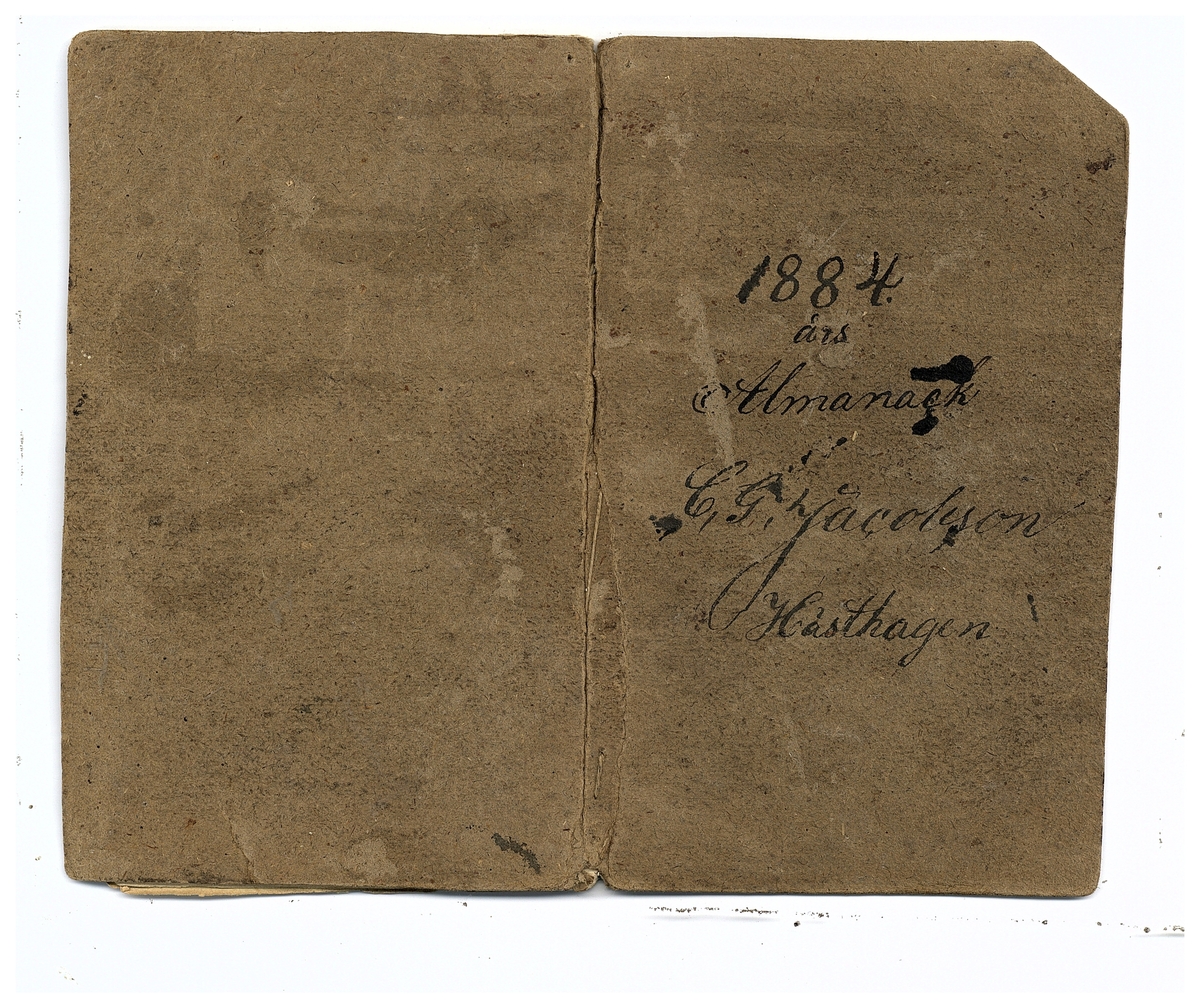 Gullereddagboken 1884
