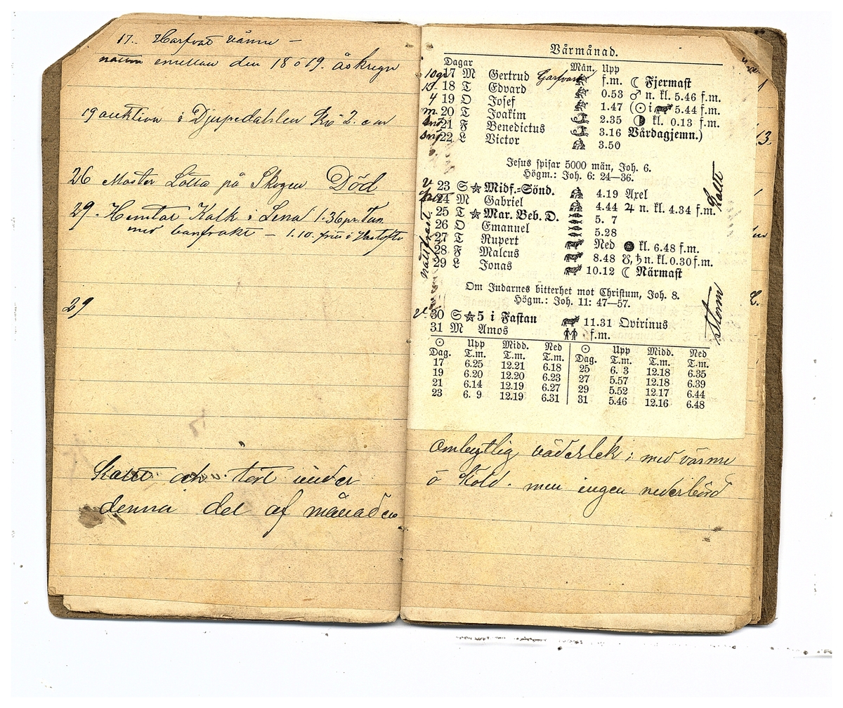 Gullereddagboken 1884