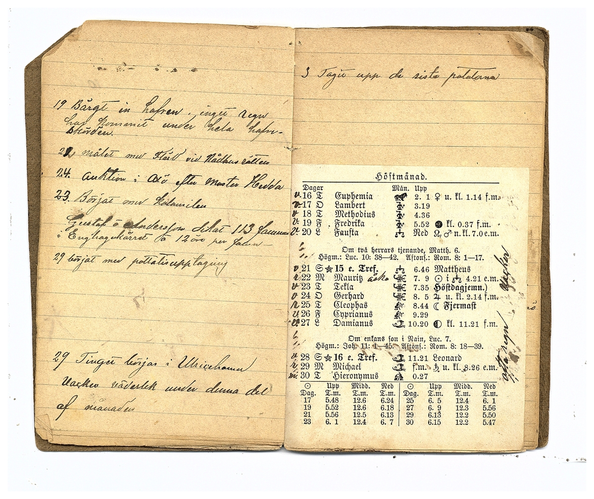 Gullereddagboken 1884
