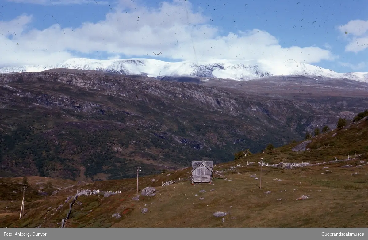 Lom1974
Bøverkinnhalsen, Bakkebergsetre. Hestbreapiggane i bakgrunnen